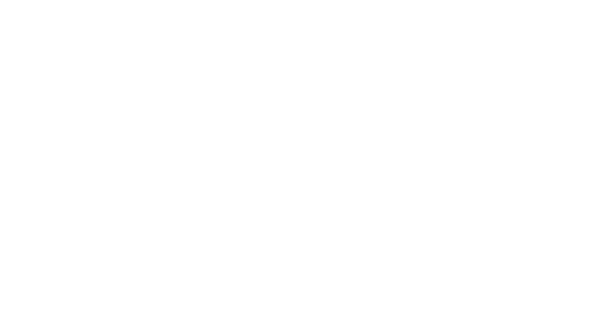 Partner in Deutschland